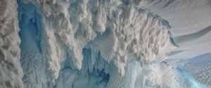 Specii necunoscute ar trăi sub gheaţa Antarcticii - studiu Specii necunoscute ar trăi sub gheaţa Antarcticii - studiu