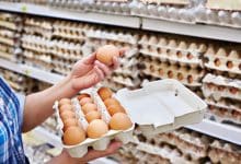 Carnea și ouăle sunt sigure la consum!